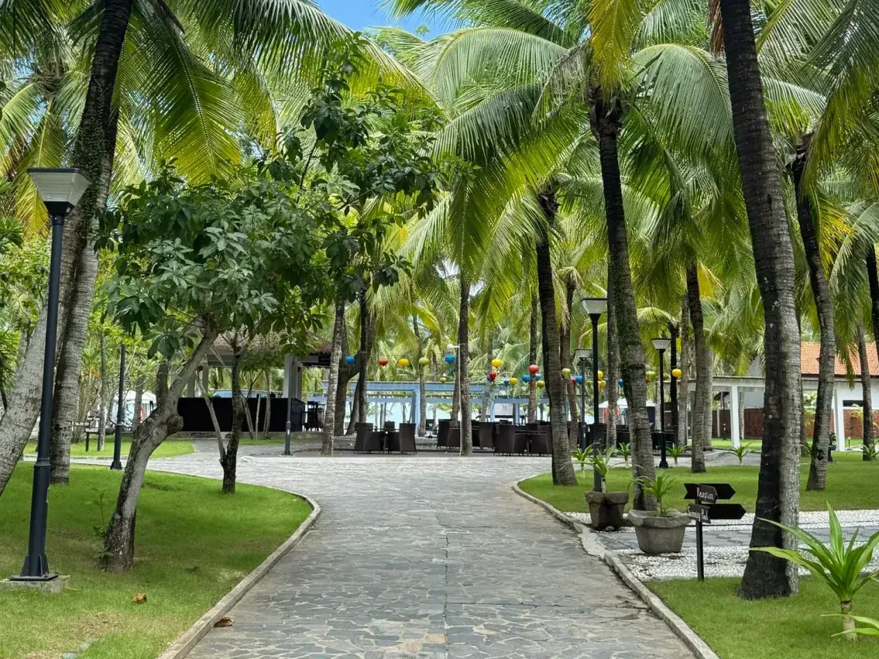 A slate path under the coconut palms, heading towards Faifo’s terrace and the pool