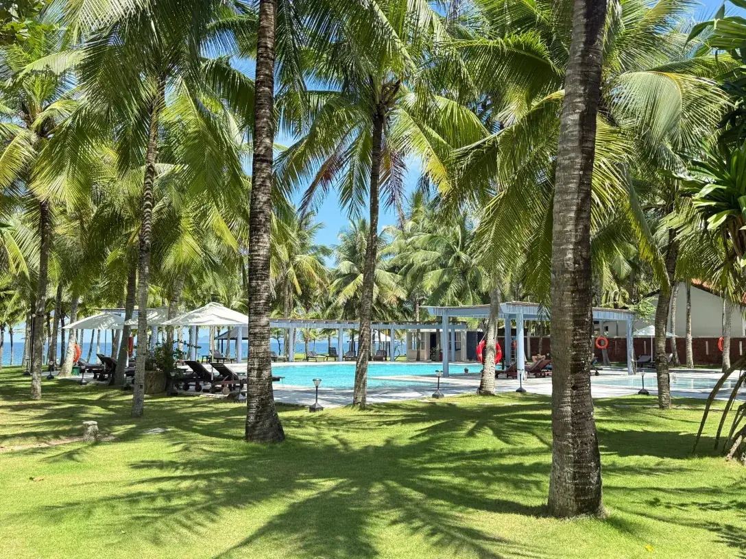 The main pool of MONEA Le Belhamy seen from the lawn between the coconut palms, with its white pergolas, the loungers and the sea behind