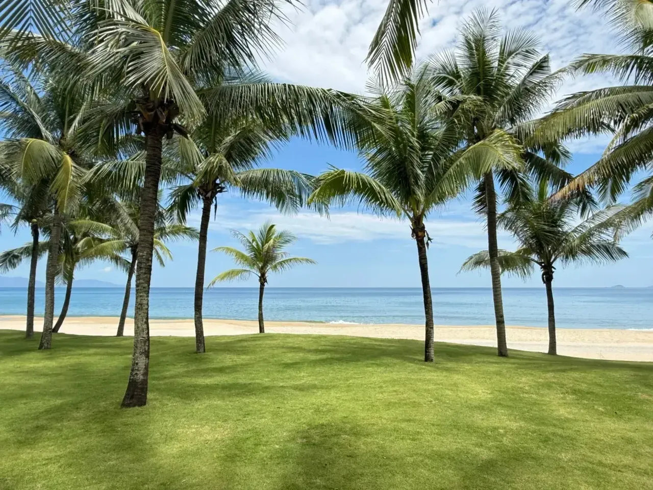 Hà My beach from the coconut grove: palms, empty sand and a calm sea, with Cù Lao Chàm on the horizon
