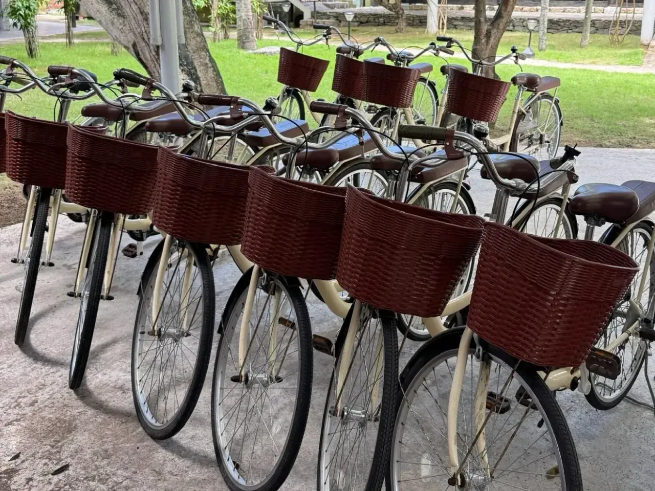 The resort’s bicycles, cream with wicker baskets, parked under a covered stand
