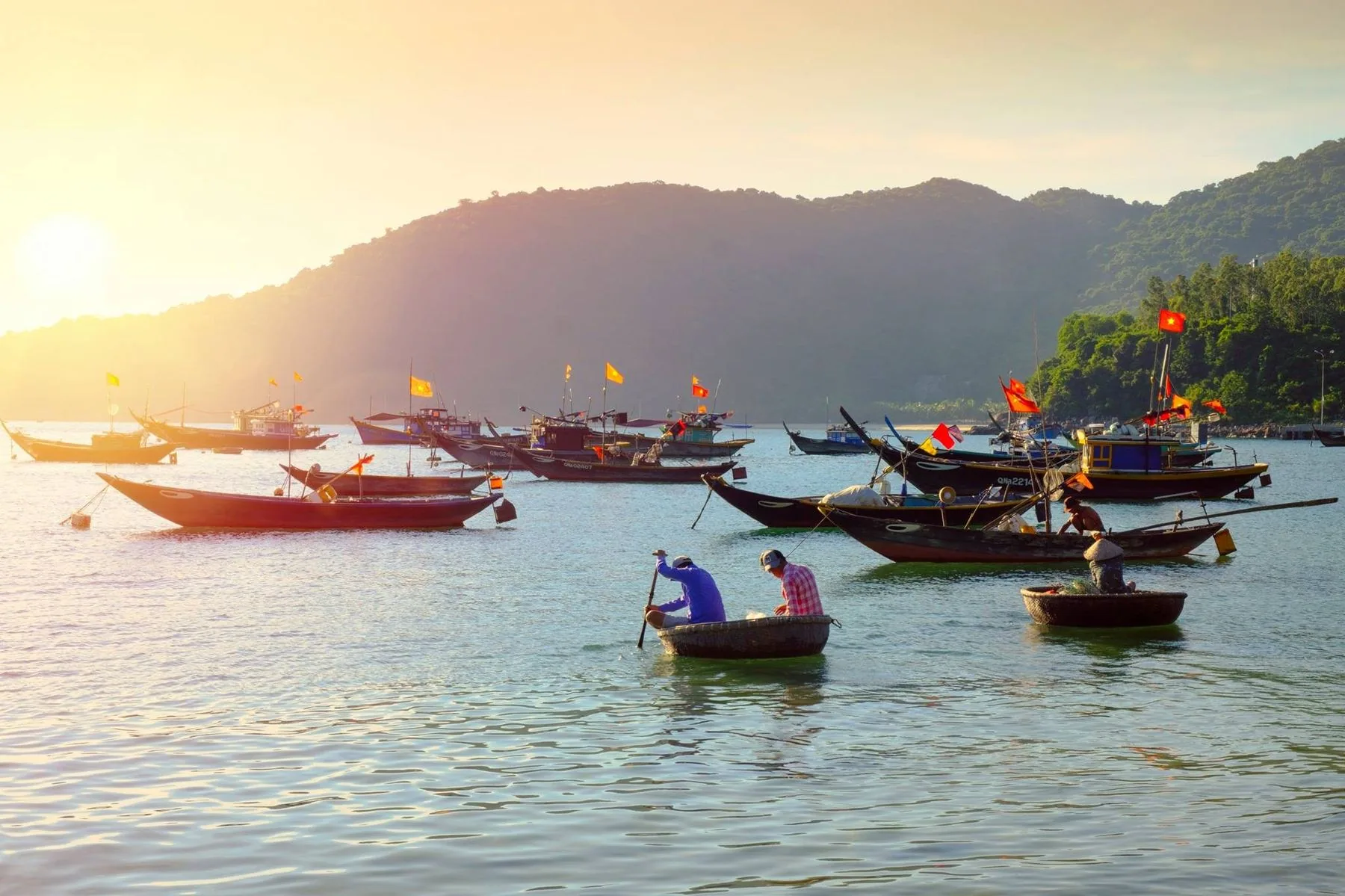 Fishing boats and a basket boat in a bay of the Cham Islands, with wooded hills and a low sun