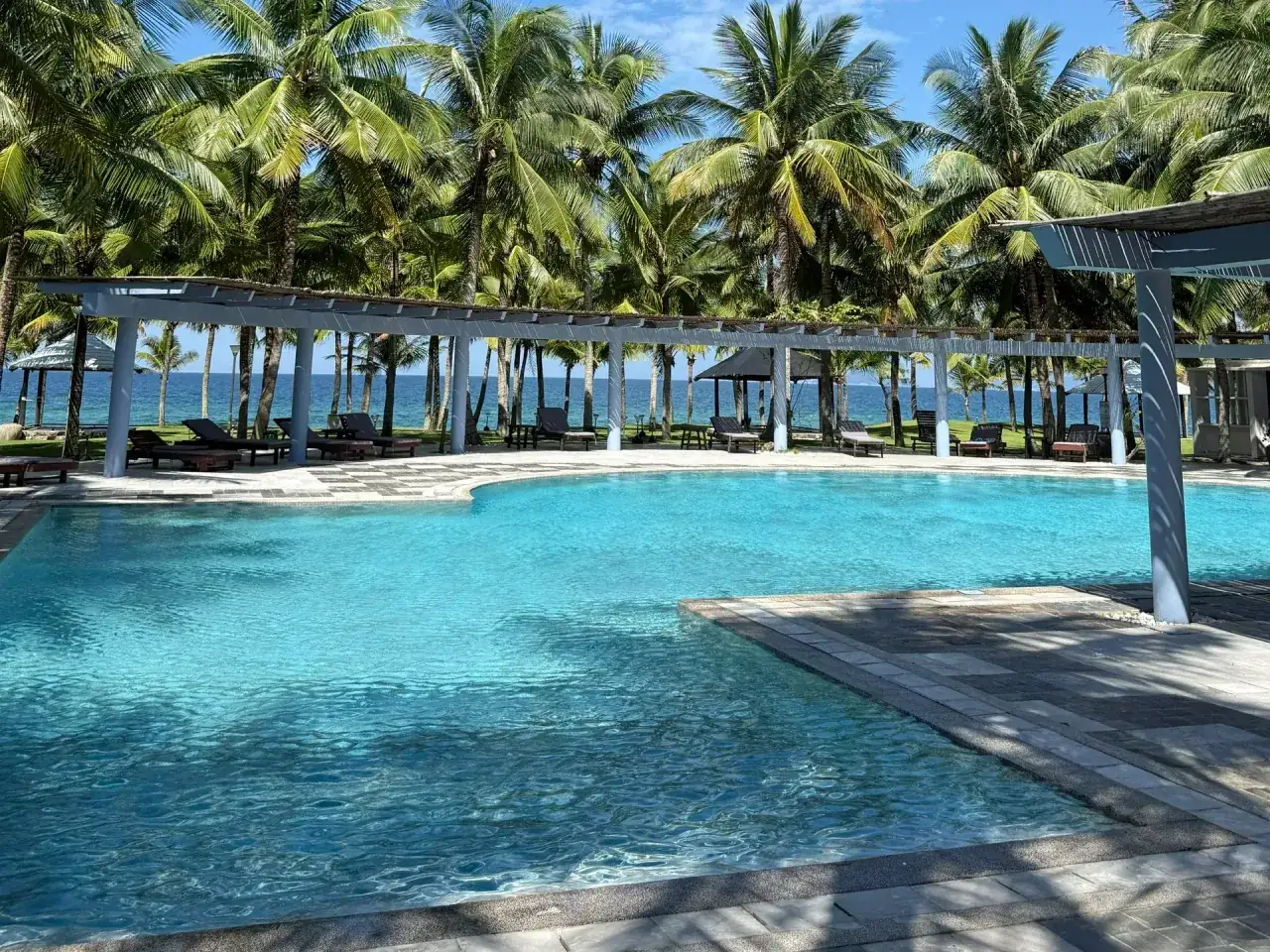 The main pool from the water’s edge: the white pergola, loungers, the coconut grove and the sea
